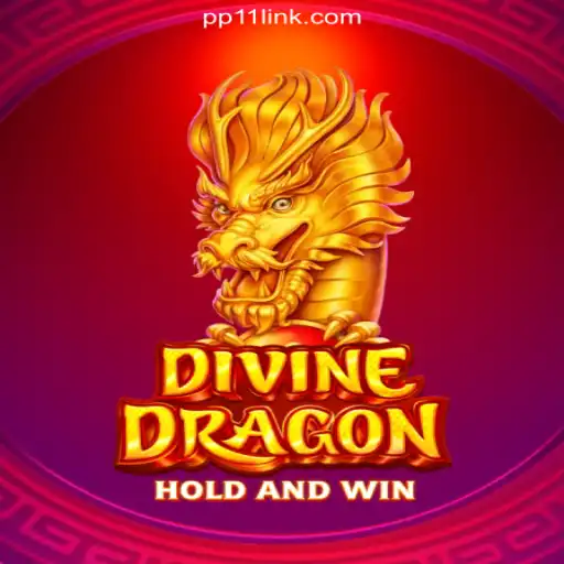 Experience the Magic of 